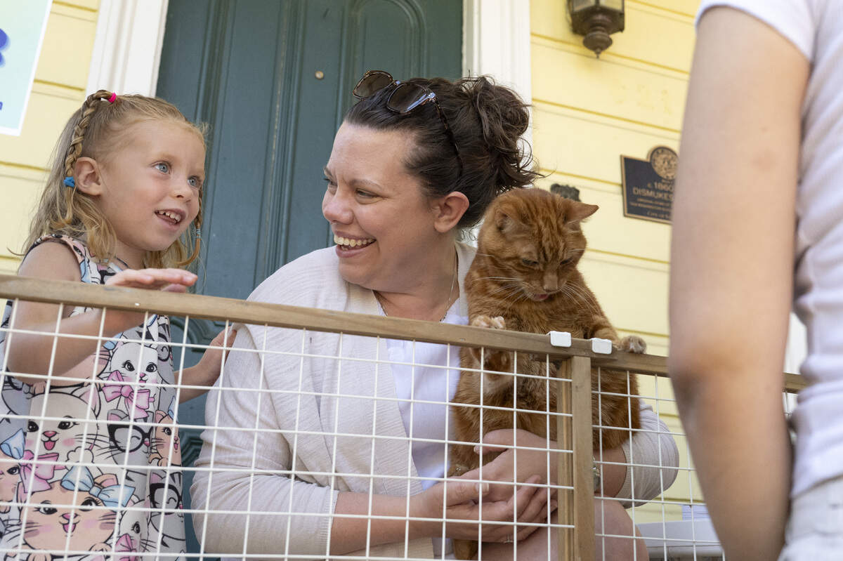 Christina Nord, Loretta Nord-Morris and their cat George greet visitors during the NorCal Resist Cat Tour in Sacramento on Sunday.
